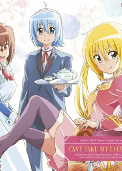 Hayate No Gotoku ss3: I Can’t Take My Eyes Off You! - Chàng Quản Gia phần 3