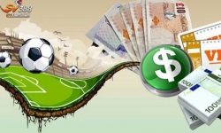 Khám Phá Thế Giới Cá Cược Thể Thao SV388 Với Các Trận Đấu Hấp Dẫn Khám Phá Thế Giới Cá Cược Thể Thao SV388 Với Các Trận Đấu Hấp Dẫn