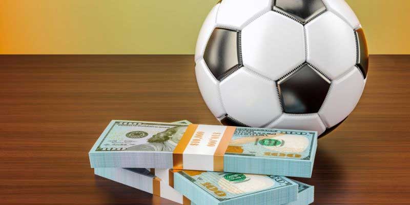 the thao 8xbet 1 the thao 8xbet 1