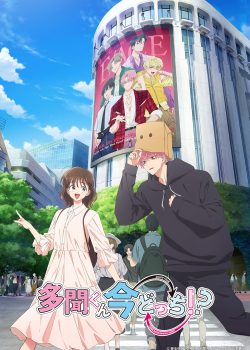 Tamon-kun Ima Docchi!?